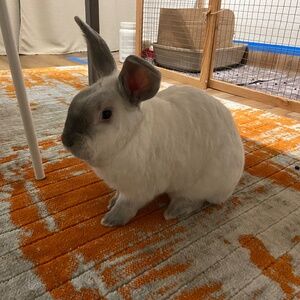 Meet your Posher, Helen